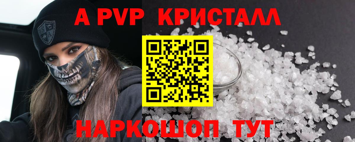 Alfa_PVP СК Великий Новгород